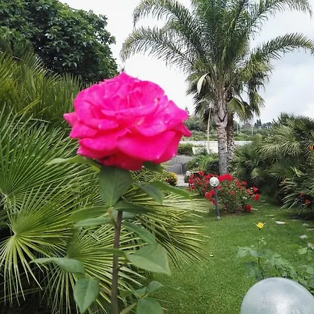 Red House With Botanical Garden *